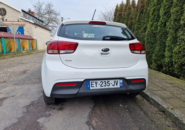 Kia Rio cena 25900 przebieg: 83635, rok produkcji 2018 z Knurów małe 781